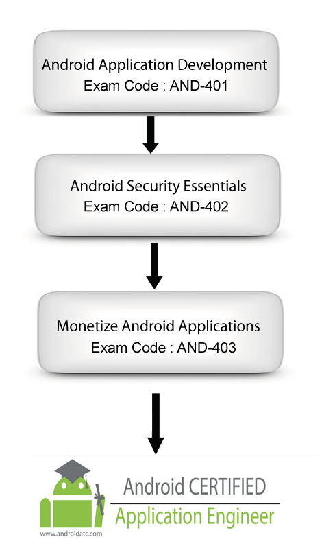 Application-Developer-Certificate-Engineer