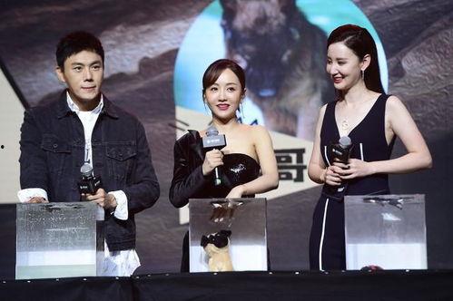 最近娱乐圈吃瓜话题大全,最新吃瓜话题大盘点  第2张