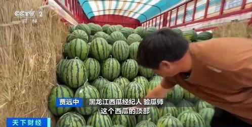 娱乐718.吃瓜王大炮,揭秘吃瓜王大炮的瓜界传奇  第2张