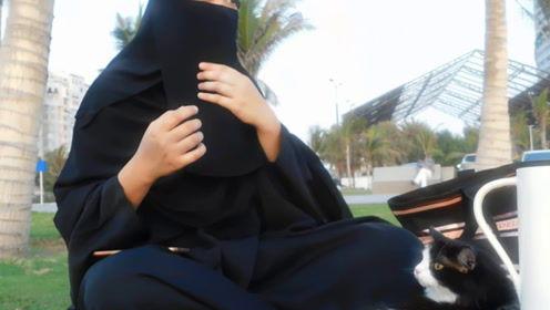 娱乐吃瓜君 网红是谁,网红背后的故事  第2张