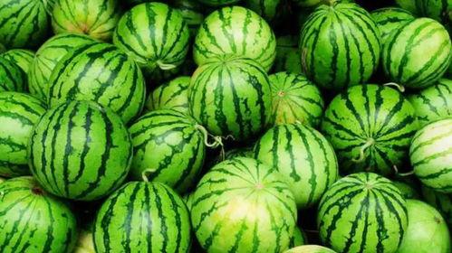 娱乐吃瓜为什么火,揭秘网络现象的火爆之谜  第3张