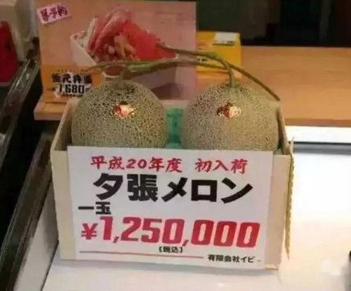 娱乐吃瓜钱,吃瓜群众如何用“钱”解锁明星幕后故事 第3张 娱乐吃瓜钱,吃瓜群众如何用“钱”解锁明星幕后故事 第3张