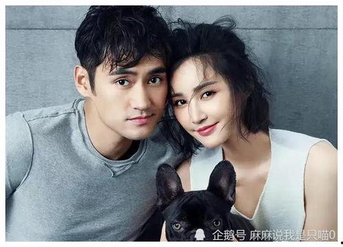 娱乐圈吃瓜爆料演员有哪些 第2张 娱乐圈吃瓜爆料演员有哪些 第2张