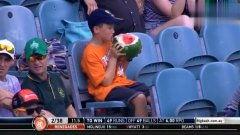 吃瓜群众奇葩娱乐,奇葩娱乐现象盘点 第3张 吃瓜群众奇葩娱乐,奇葩娱乐现象盘点 第3张