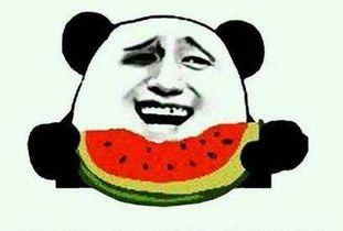 娱乐吃瓜酱伤感语录大全,娱乐吃瓜酱的内心独白 第2张 娱乐吃瓜酱伤感语录大全,娱乐吃瓜酱的内心独白 第2张